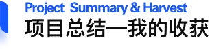 项目总结—我的收获